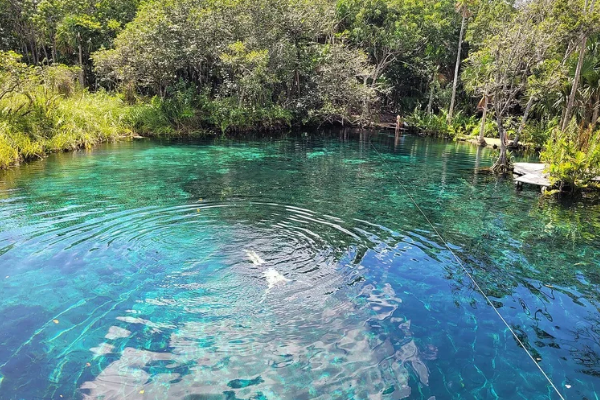Cenote Corazón Tulum
