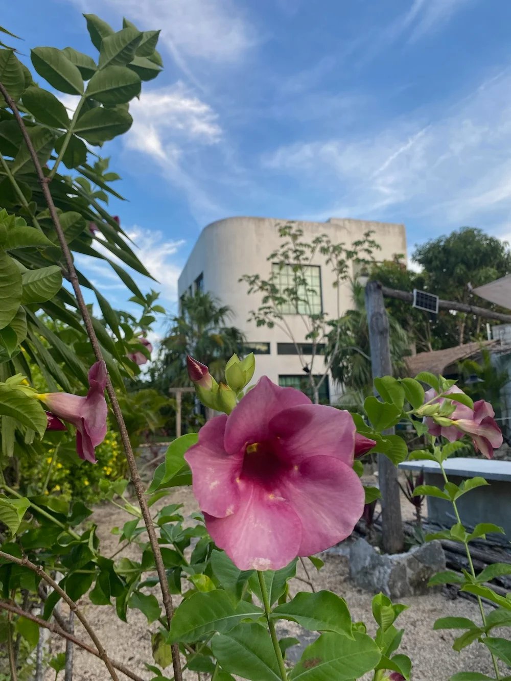 Rancho Verde Tulum — zero-waste eco sanctuary Airbnb Superhost and Guest Favorite