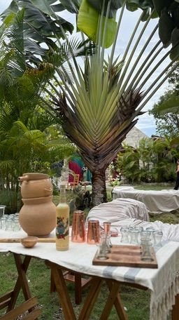Welcome table with a palm and pitchers at Rancho Verde Tulum
